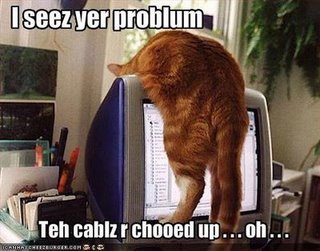 lolcat lolcat